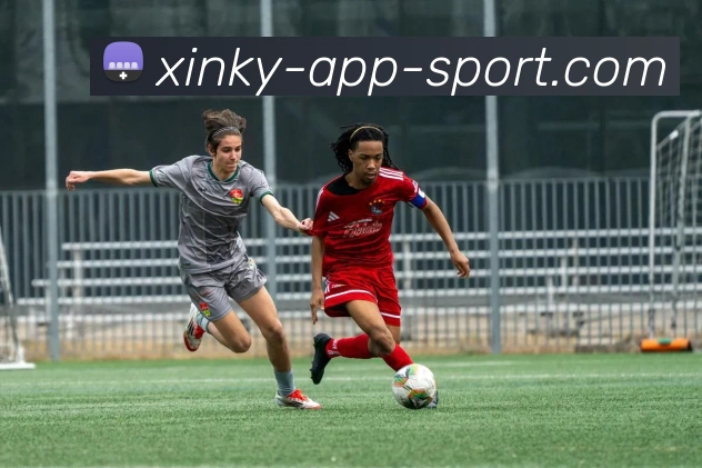 App 展示图